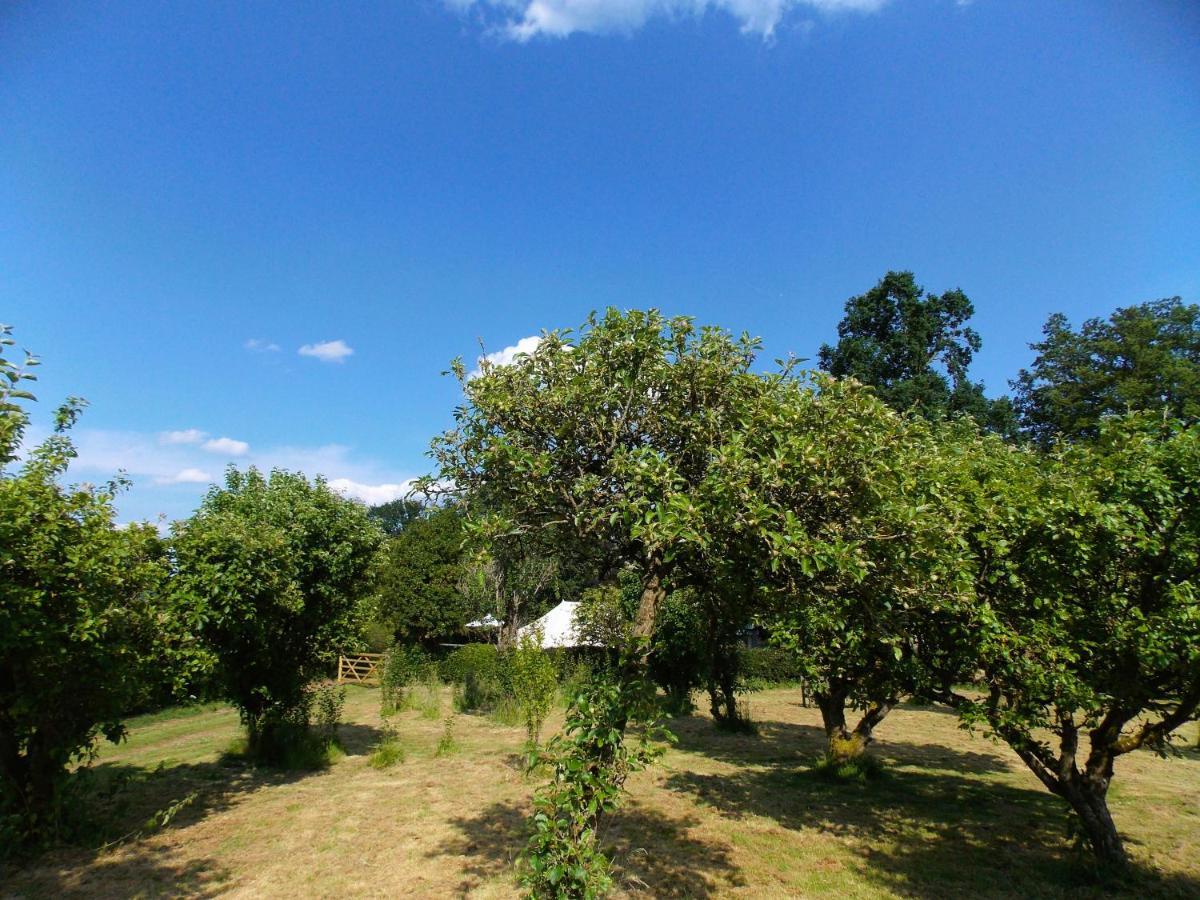Hope Cottage Bell Tent Retreat アッシュボーン エクステリア 写真